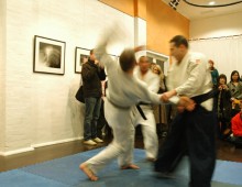 Synergy Gallery Demo