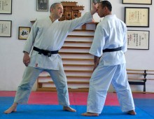 Atemi waza