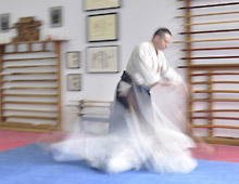 Spirits of the Dojo