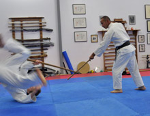 Weapons January 2012